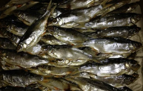 Плотва вяленая