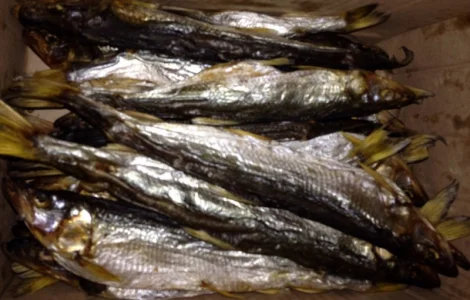 Корюшка дальневосточная