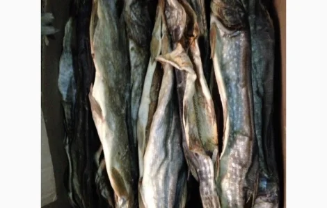 Вяленая щука – малосольная рыба