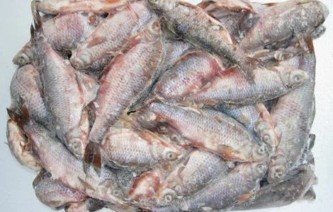 Рыбная компания реализует свежемороженую рыбу оптом