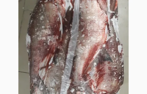 Рыбный цех реализует окунь с/м Густера