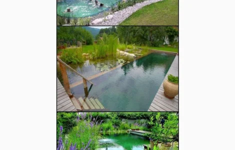 Карпы Кои Украина, рыбки для пруда, корм для кои, водные растения, пруд, аквариум, рыбоводство