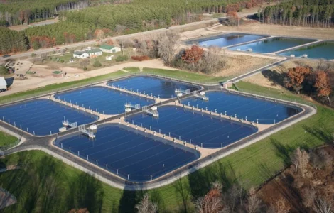 Рытье и очистка прудов для разведения рыбы