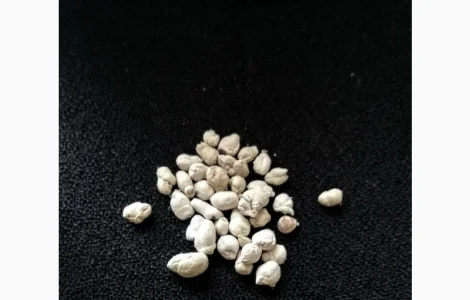 Карпа гипофиз, короповий гіпофіз