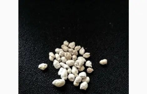 Карповый гипофиз, короповый гипофиз
