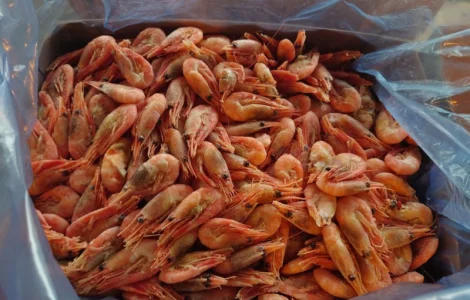 Креветка 90+ Норвегія