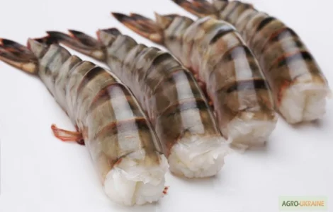 Тигрова креветка без голови 16-20 шт/кг