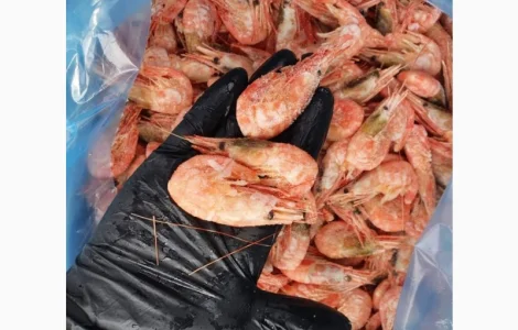 Продаж варено-мороженої креветки оптом та в роздріб