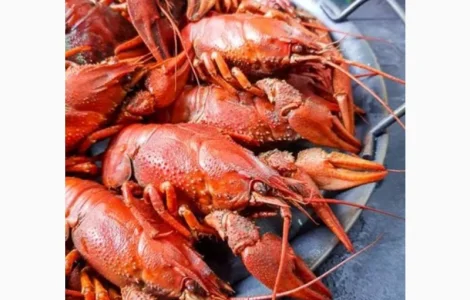 Продам варёные раки