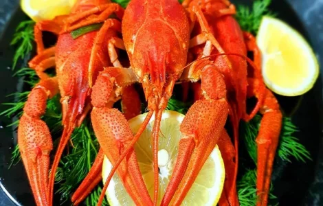 Куплю раки. Дорого