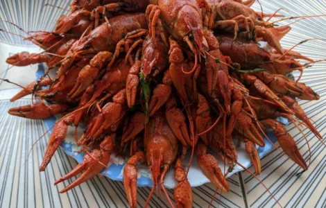 Куплю Живых Раков