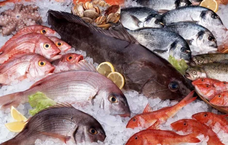 Рыба и море продукты