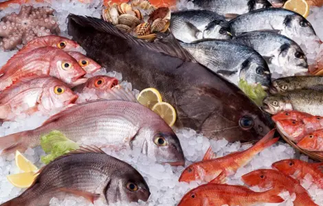 Поставка рыбы и морепродуктов оптом