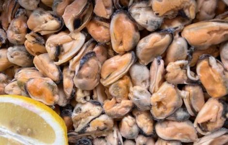 Продам Мідії мариновані в олії