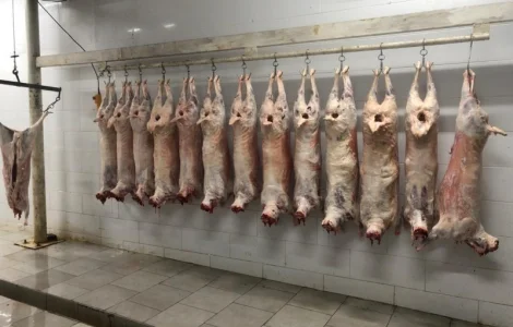 Есть покупатели полутуши баранов от производителя от 100 голов