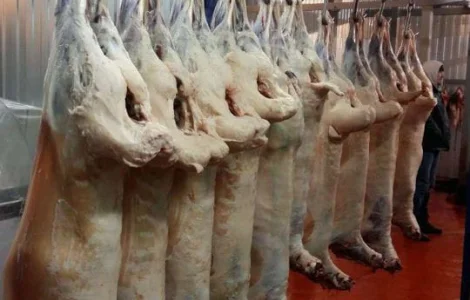 Баранина с Аккредитив на ОАИ