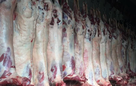 Продам баранину