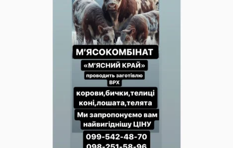 Мʼясокомбінат «Мʼясний Край» Дорого Закуповує ВРХ