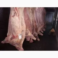 Продам продукцію з говядини від виробника з 20 тонн. Крім Європи