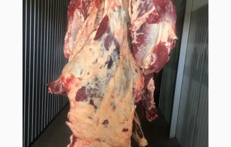 Яловичина, м’ясо яловичини, туші яловичини