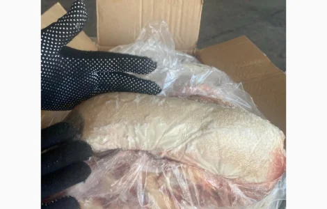 Продам яловичий язик — заморожений делікатес