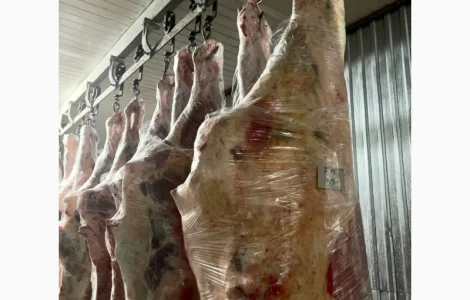 Півтуші та четвертини яловичі – заморожені та охолоджені