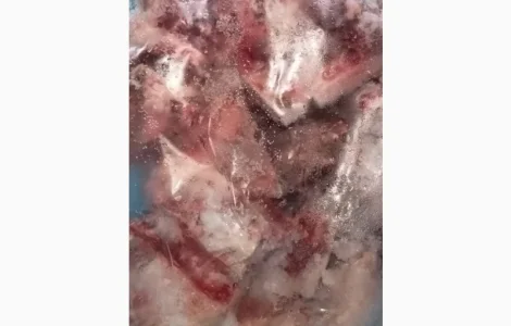 Продам кости говядины