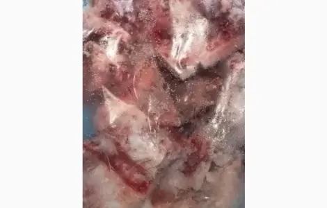 Продам кости говядины