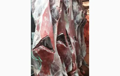 ПрАТ АГРО-ПРОДУКТ продает охлажденное мясо на кости и кусочное мясо быка и коровы
