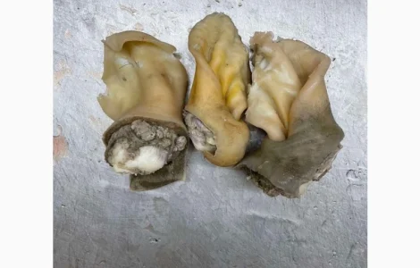 ПрАТ АГРО-ПРОДУКТ продає вуха, морди, рубець шпарений