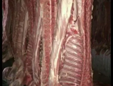 Мясо полотуші Врх Свинина