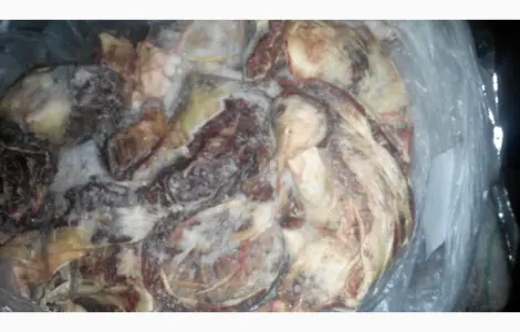 Продам головизну говяжью