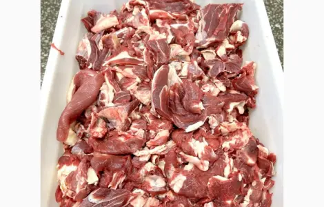 Продам Мясо говядины