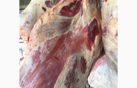 Куплю яловичі півтуші та четверті