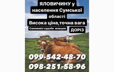 Заготівля врх