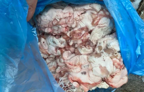 Продам жир свиной кишечный