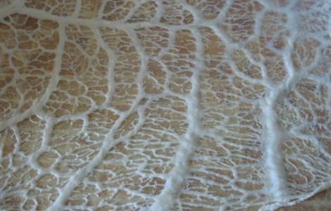 Куплю СЕТКУ свиную