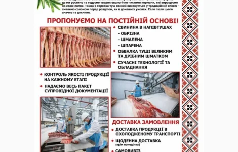 МК РІАЛ свинина гуртом