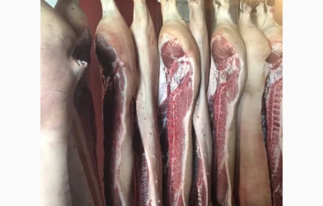 Полутуши свинные бекон (S і Е клас)