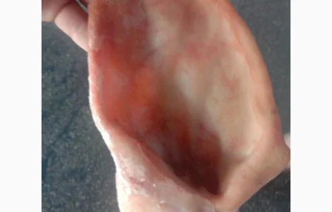 Продам свинные уши – по запросу