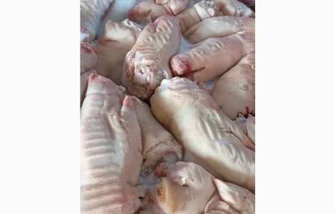 Продам ніжки свинні За запитом