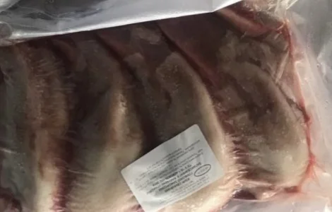 Продам свинний язик – за запитом