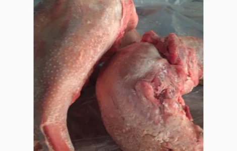 Продам язик свинний За запитом