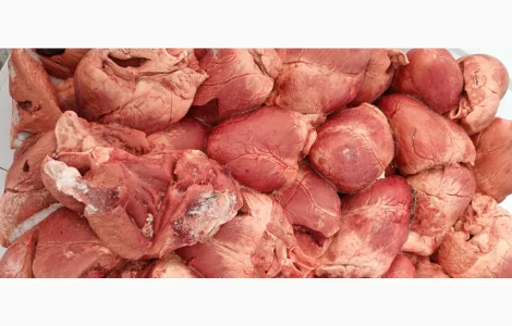 Продам серце свинне За запитом