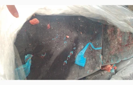 Продам КРОВ свинну За запитом