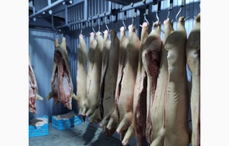 Продается убойный цех с современным оборудованием