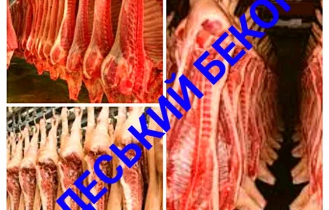 Напівтуші свинячі охолоджені