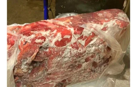 Мясообрезь замороженная оптом