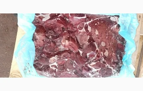 Продам печень свиную