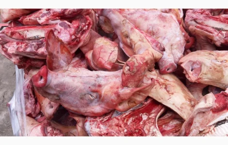 Продам голови свинні